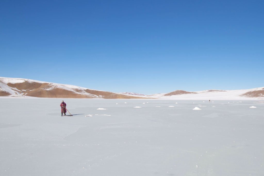 LA Mongolia by Federico Pellici